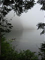 Lake - Foggy water
