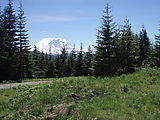 Campsite - Rainier (Photo by Laura)