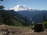 Campsite - Rainier (Photo by Laura)