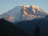 Campsite - Rainier