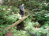 Huckleberry Creek - Geoff (Photo by Laura)