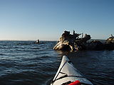 Willapa Bay - Kayaking - Kayaking Long Island Willapa Bay