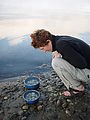 Willapa Bay - Clams - Laura