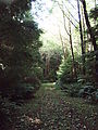 Willapa Bay - Path