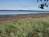 Willapa Bay - Beach - Tide Flats