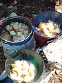 Willapa Bay - Clams - Lunch - Making Clam Chowder