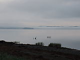 Willapa Bay - Morning Beach