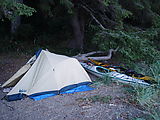 Willapa Bay - Campsite Tent