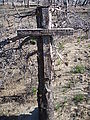 Deschutes National Forest - Davis Mountain - Dog Grave