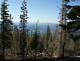 Deschutes National Forest - Davis Lake