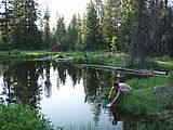 Deschutes National Forest - Camping South of - Davis Lake - Laura - Pond