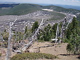 Deschutes National Forest - Newberry Crater - Paulina Peak