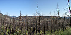 Camping in Deschutes National Forest