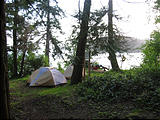 Skagit Island - Camp