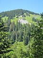 Annette Lake Hike - Looking Up