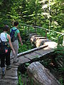 Annette Lake Hike08 - Log Bridge