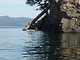 Kayaking Lummi Island - Geoff