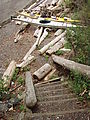 Kayaking Lummi Island - DNR Campsite - Stairs