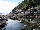 Kayaking Lummi Island - Kayaking Lummi Island