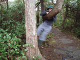 Juan de Fuca Marine Trail - Twisty Trees - Laura