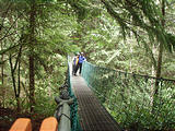 Juan de Fuca Marine Trail - Suspension Bridge - Geoff, Laura