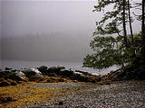 Queen Charlotte Islands - Haida Gwaii - NevaPhoto 109