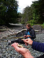 Queen Charlotte Islands - Haida Gwaii - NevaPhoto 120