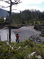 Queen Charlotte Islands - Haida Gwaii - NevaPhoto 150