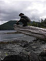 Queen Charlotte Islands - Haida Gwaii - NevaPhoto 162