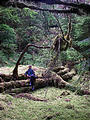 Queen Charlotte Islands - Haida Gwaii - NevaPhoto 183