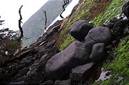 Queen Charlotte Islands - Haida Gwaii - NevaPhoto 185