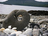 Queen Charlotte Islands - Haida Gwaii - NevaPhoto 186