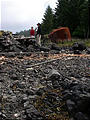 Queen Charlotte Islands - Haida Gwaii - NevaPhoto 190