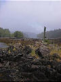 Queen Charlotte Islands - Haida Gwaii - NevaPhoto 197