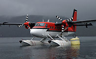 20080705 1542 P1MW7 - Queen Charlotte Islands - Haida Gwaii 0098 - Flight Down