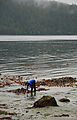 Tidepooling