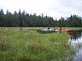 Marsh - Kayaking