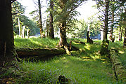 Anthony Island - Ninstints - SGang Gwaay - Native Ruins - Totem Poles