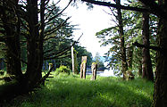 Anthony Island - Ninstints - SGang Gwaay - Native Ruins - Totem Poles