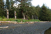 Anthony Island - Ninstints - SGang Gwaay - Native Ruins - Totem Poles