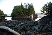 Anthony Island - Ninstints - SGang Gwaay - Native Ruins - Totem Poles