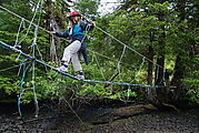 Rose Harbour - Rope Bridge