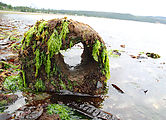 Sandspit - Tideflats