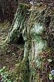 Green Stump