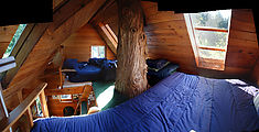 Cedar Creek Treehouse - Beds