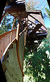 Cedar Creek Treehouse - Stairs