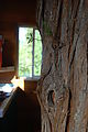 Cedar Creek Treehouse - Tree