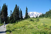 Mount Rainier National Park - Mt. Rainier