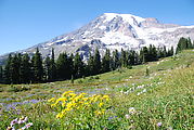 Mount Rainier National Park - Mt. Rainier