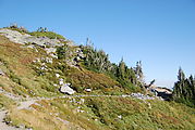 Mount Rainier National Park - Laura